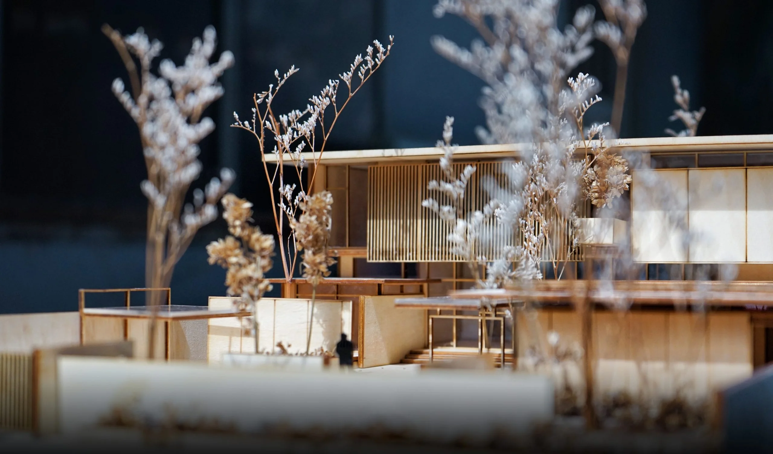 Bảo Trì & Chăm Sóc